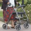 Aluminium Rollator