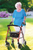 Aluminium Rollator