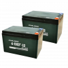 TMS Economy Mobility Scooter Batteries Pair