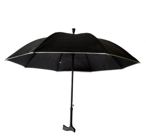 Budget Umbrella Walking Stick