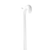 White Beech Derby Cane