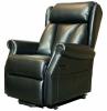 Suir Dual Motor Rise & Recliner Chair - Black