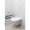 Foldable Toilet Grab Bar