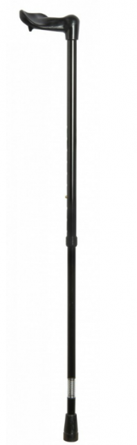 Shock Absorber Cane