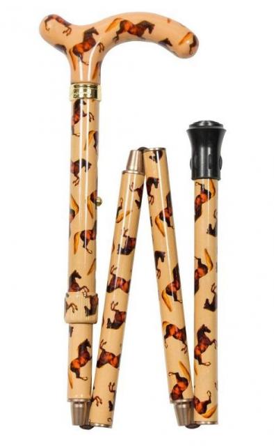 Cane