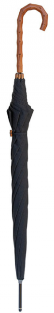 Umbrella Cane - Black
