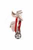 Red Antar Aluminium Rollator with Bag