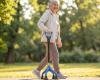 Ergonomic 4-Legged Walking Stick
