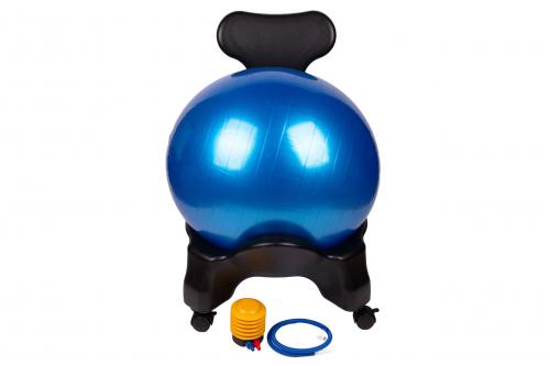 Rehabilitation Ball With Stand
