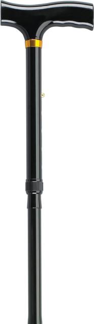 Walking Stick