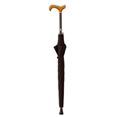 Walking stick umbrella