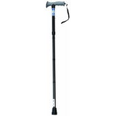 Black walking stick