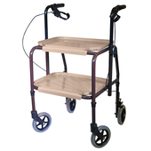 Strolley Trolley with Brakes