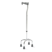 Tetrapod Walking Stick