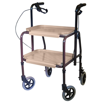 Strolley Trolley with Brakes