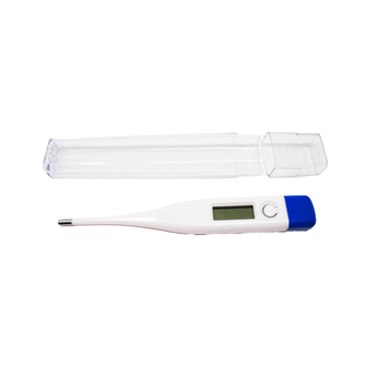 digital thermometer 2