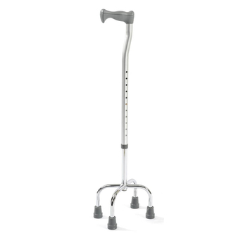Tetrapod Walking Stick