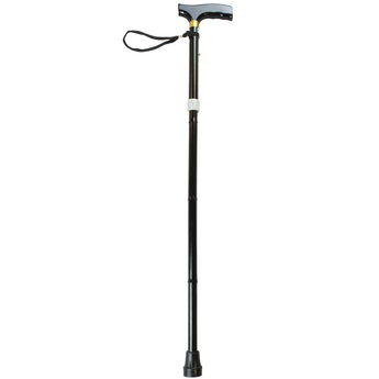 Black Folding Walking Stick