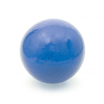 ABS Rehabilitation Exercise Ball