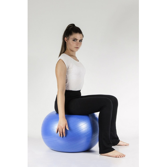 ABS Rehabilitation Exercise Ball