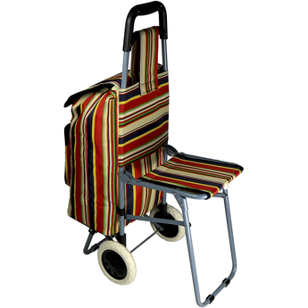 Shopping Trolley With Fold Down Seat