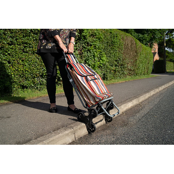 Shopping Trolley With Fold Down Seat