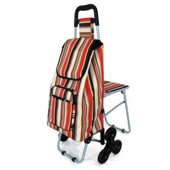 Shopping Trolley With Fold Down Seat