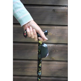 Walking Stick Lights