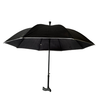 Budget Umbrella Walking Stick