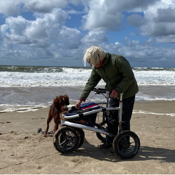 Veloped - Sport Rollator 12er