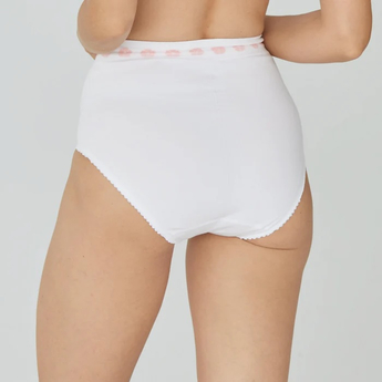 Post Surgery Pelvic Support Briefs
