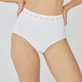 Post Surgery Pelvic Support Briefs