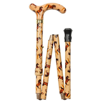 Cane