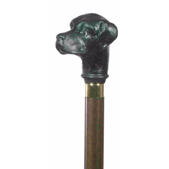 Labrador Retriever Cane - Black & Brown
