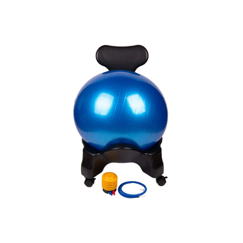 Rehabilitation Ball With Stand
